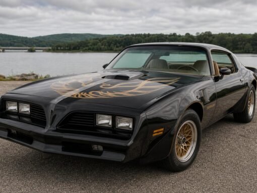 Pontiac Officially Called the Trans Am’s Famous Bird Graphic a Hood Decal Pontiac Officially Called the Trans Am’s Famous Bird Graphic a Hood Decal